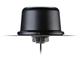 Taoglas QHA.50.A.301111