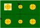 TXC Corporation QTO107-10.000MBT-T