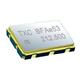 TXC Corporation BF-62.500MCE-T
