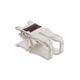 TE Connectivity / AMP 62524-1