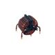 KEMET SCR47B-200-S2R0A025JH-P